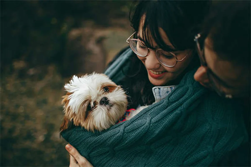 Gravidanza canina: farmaci sicuri e consigli essenziali