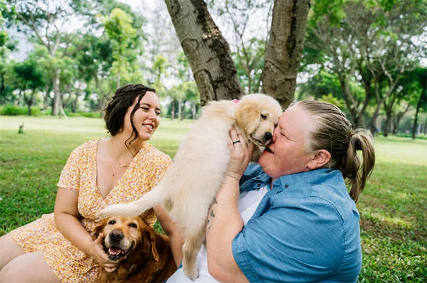 Idroterapia per cani: benefici e come funziona